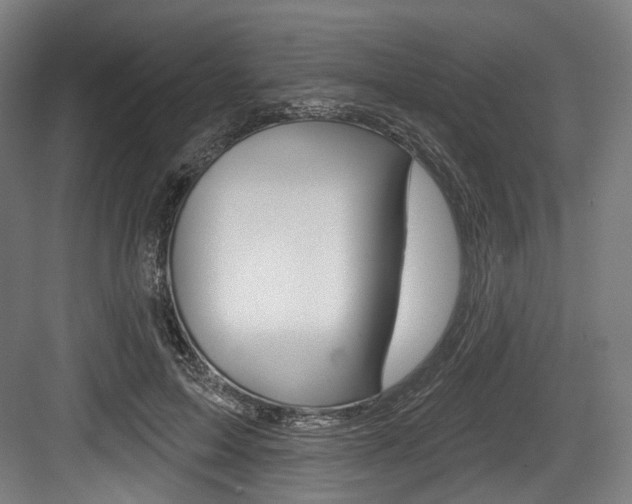 X0000084020599200702160828