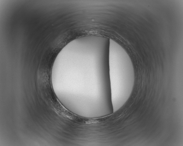 X0000084020603200702160828