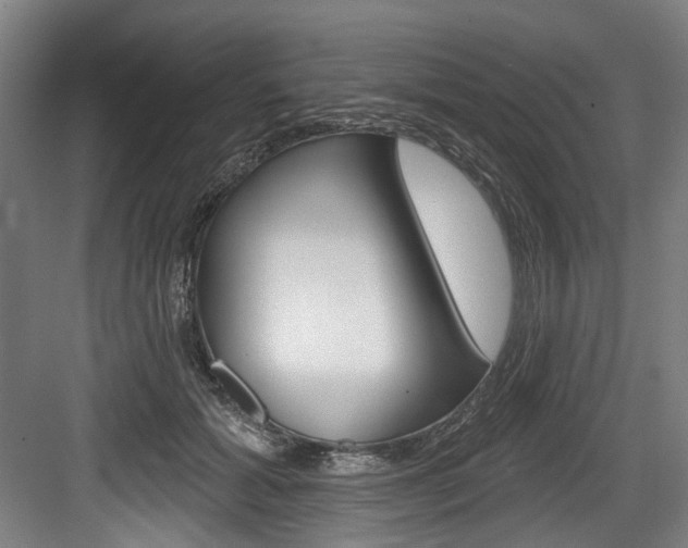 X0000084020605200702160828