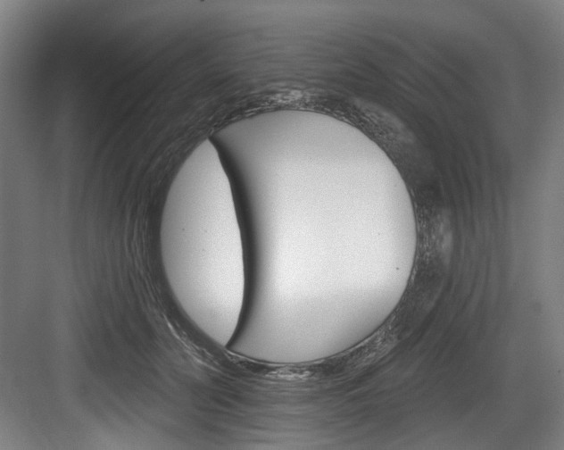 X0000084020606200702160828