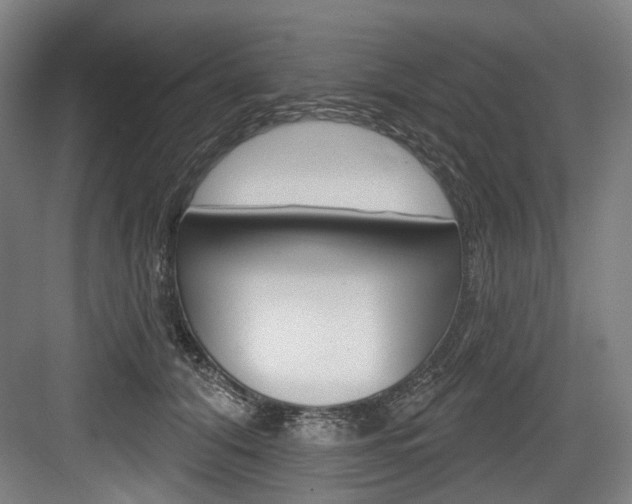 X0000084020608200702160828
