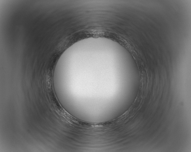 X0000084020609200702160828
