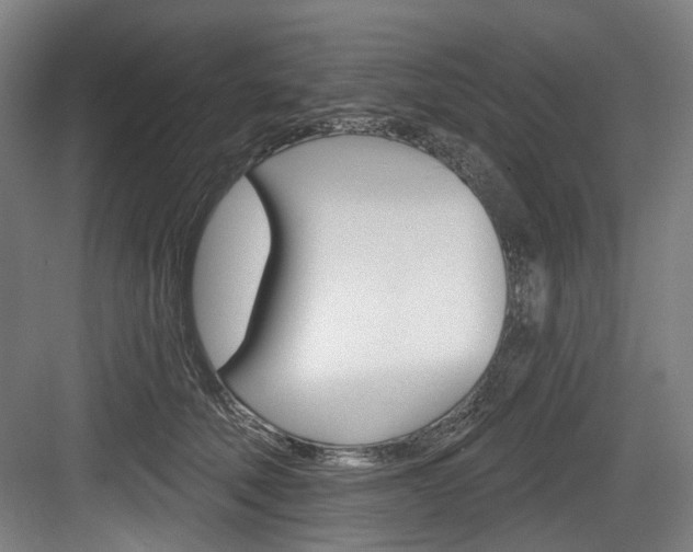 X0000084020610200702160828