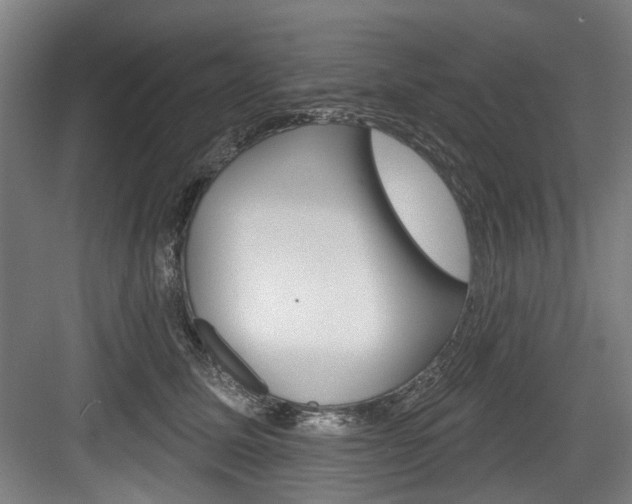 X0000084020611200702160828