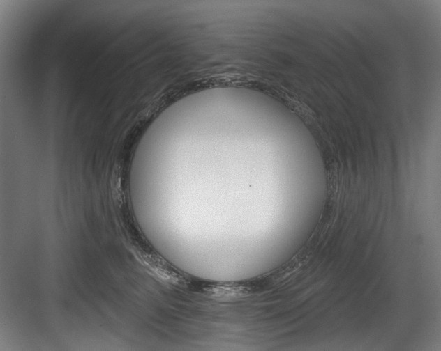 X0000084020615200702160828