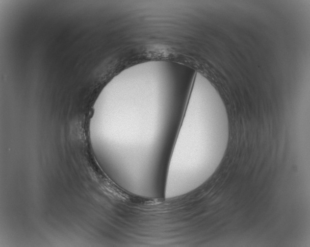 X0000084020616200702160828