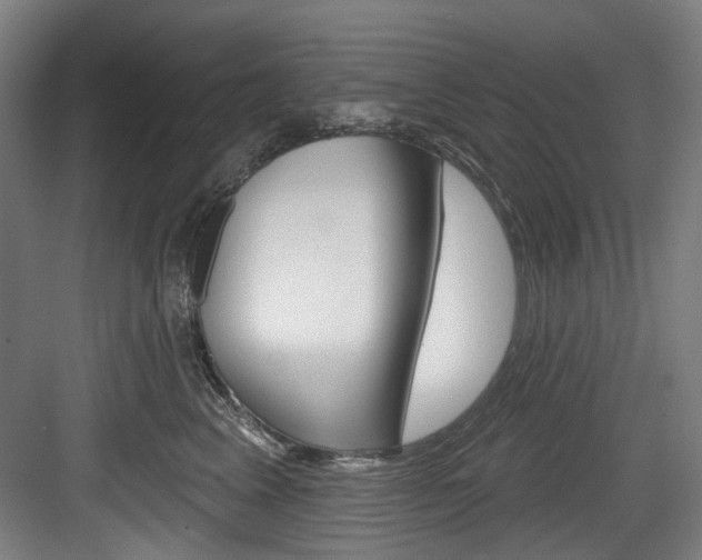 X0000084020617200702160828