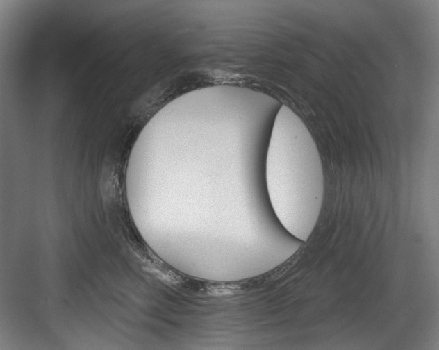 X0000084020618200702160828