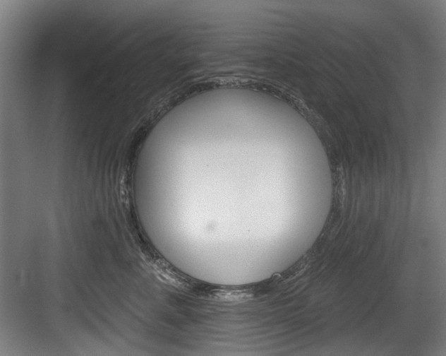 X0000084020619200702160828