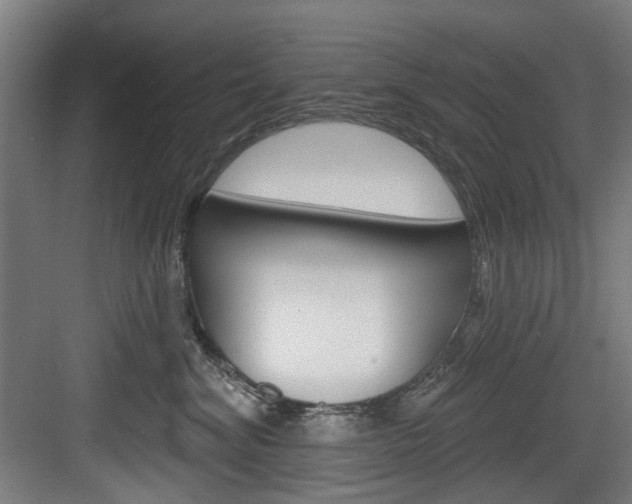 X0000084020620200702160828
