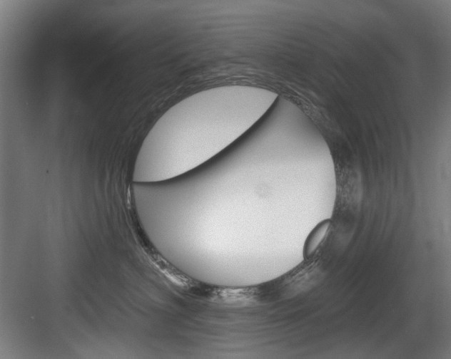 X0000084020622200702160828