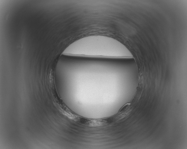 X0000084020623200702160828