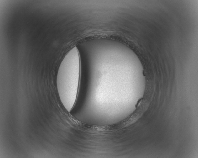 X0000084020624200702160828