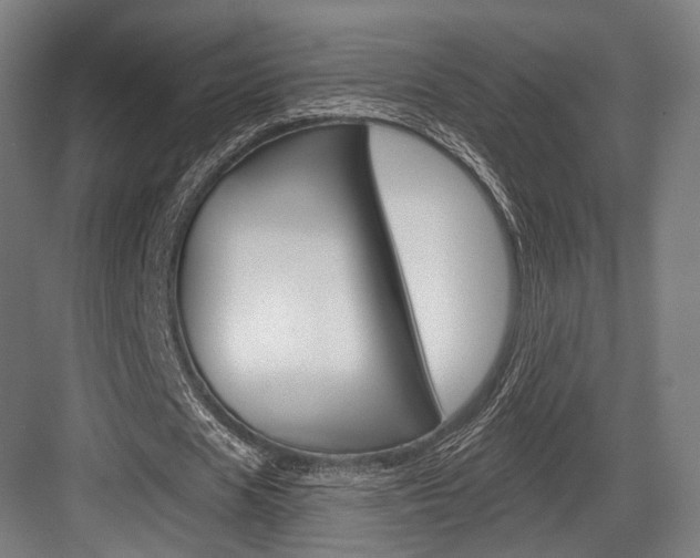 X0000084020625200702160827