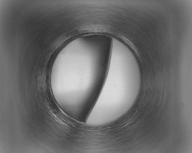 X0000084020627200702160827