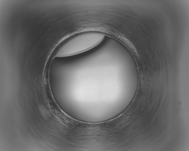 X0000084020628200702160827