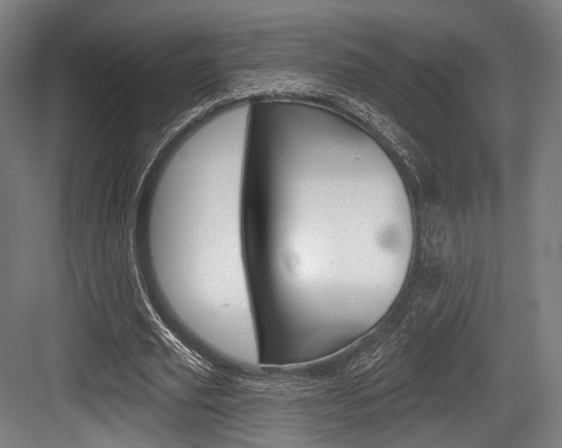 X0000084020629200702160827