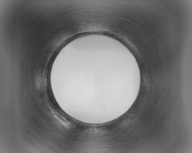 X0000084020632200702160827