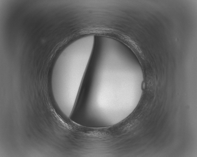 X0000084020633200702160827
