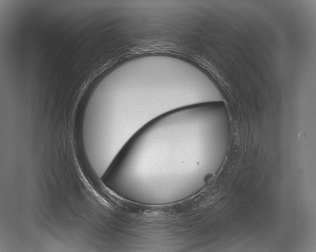 X0000084020634200702160827