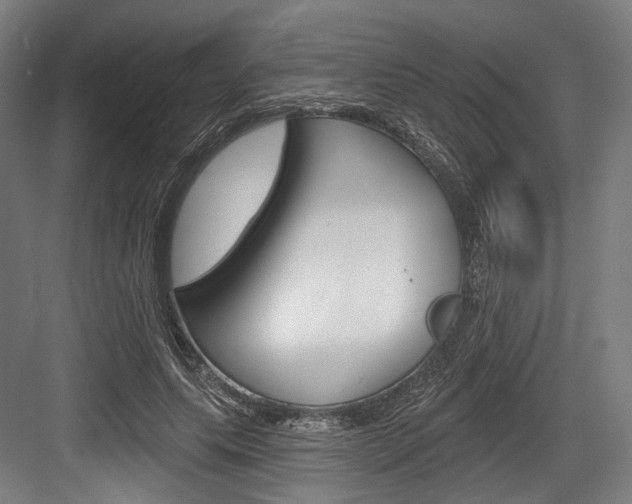 X0000084020639200702160827