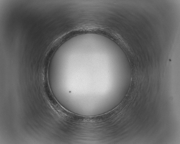 X0000084020640200702160827