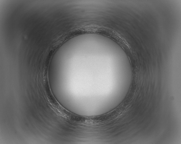 X0000084020641200702160827