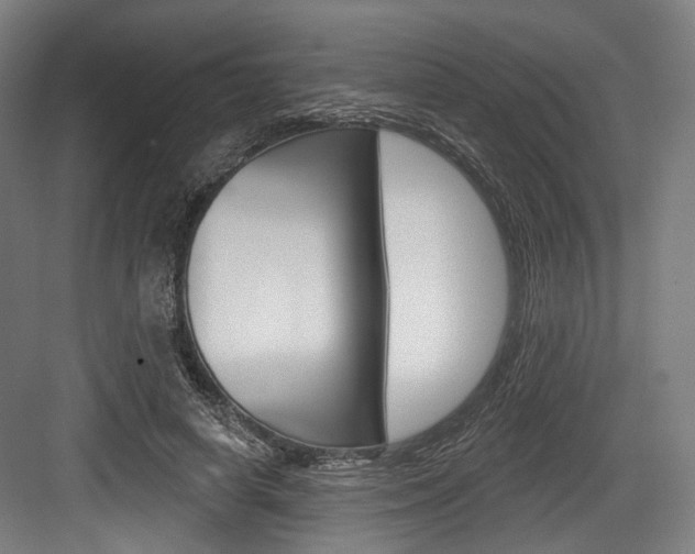 X0000084020642200702160827