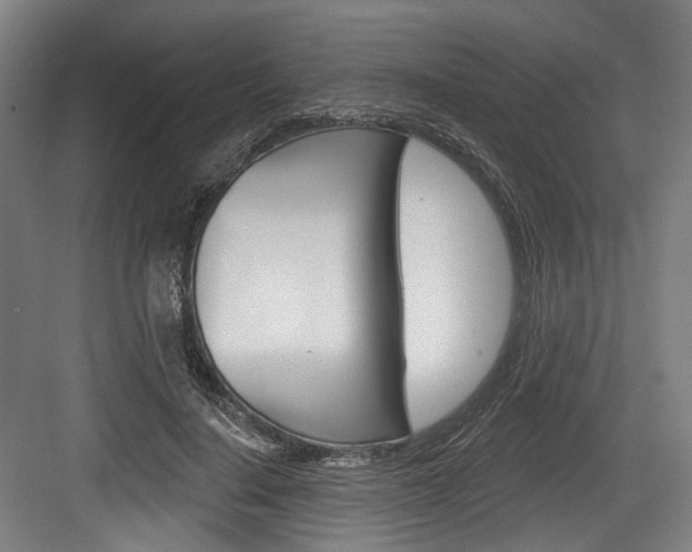 X0000084020644200702160827
