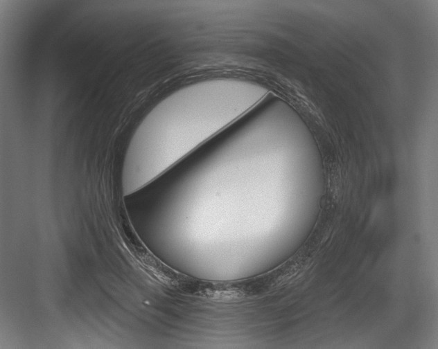 X0000084020645200702160827