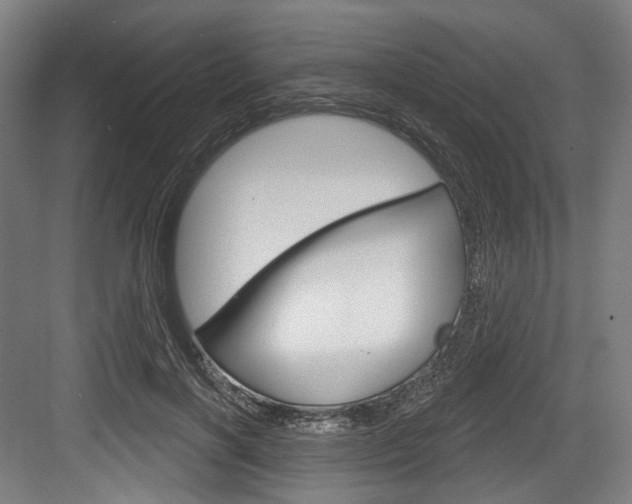 X0000084020646200702160827