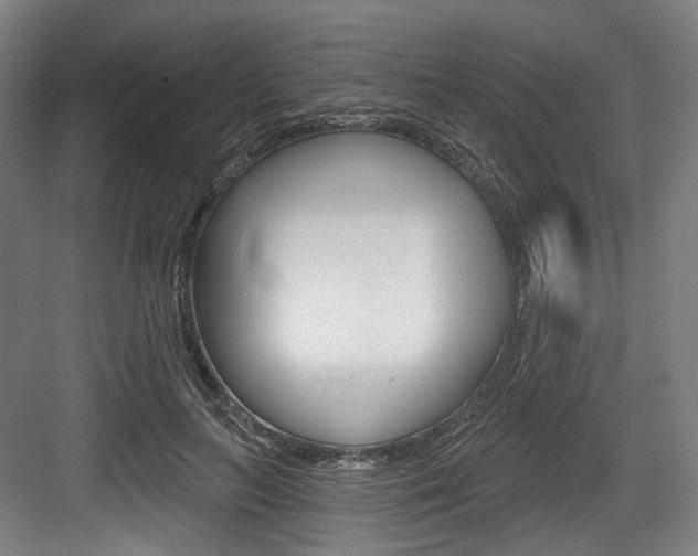 X0000084020647200702160827