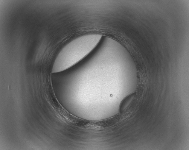 X0000084020648200702160827