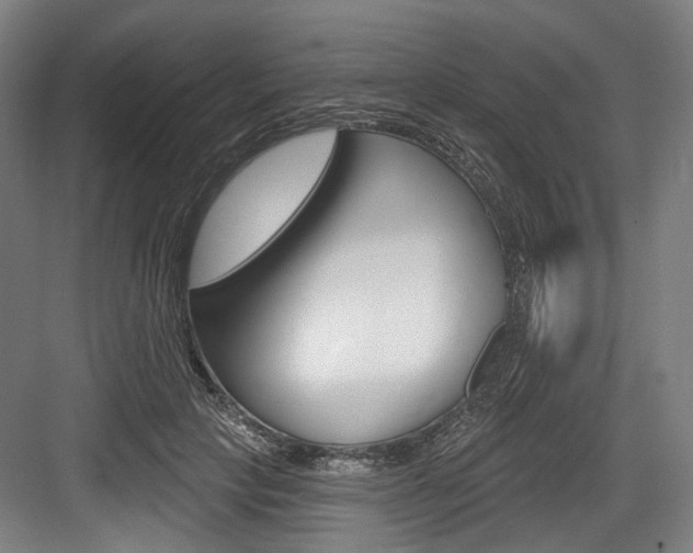 X0000084020649200702160827