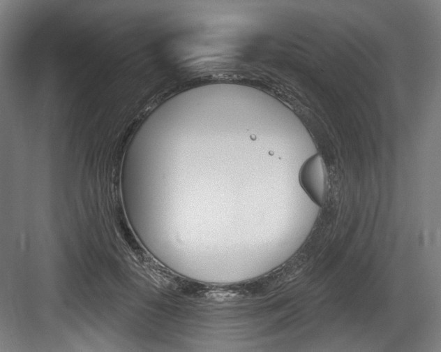 X0000084020650200702160827