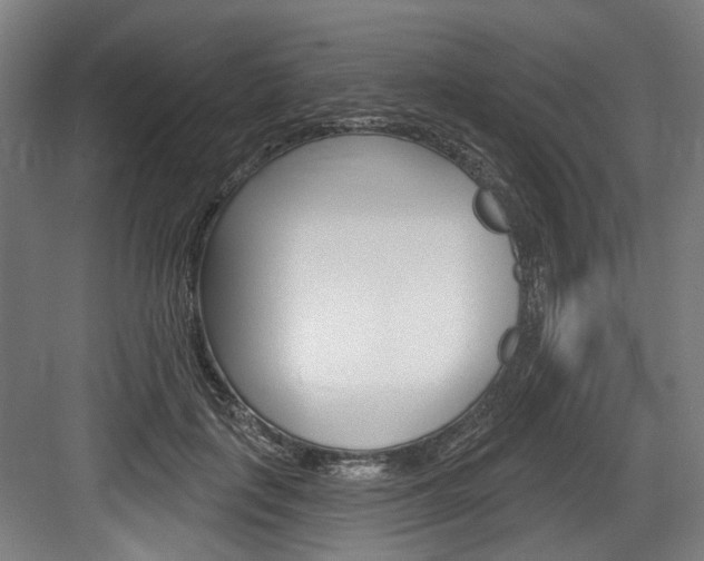 X0000084020651200702160827