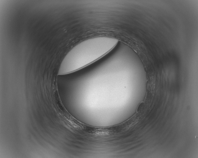 X0000084020653200702160827