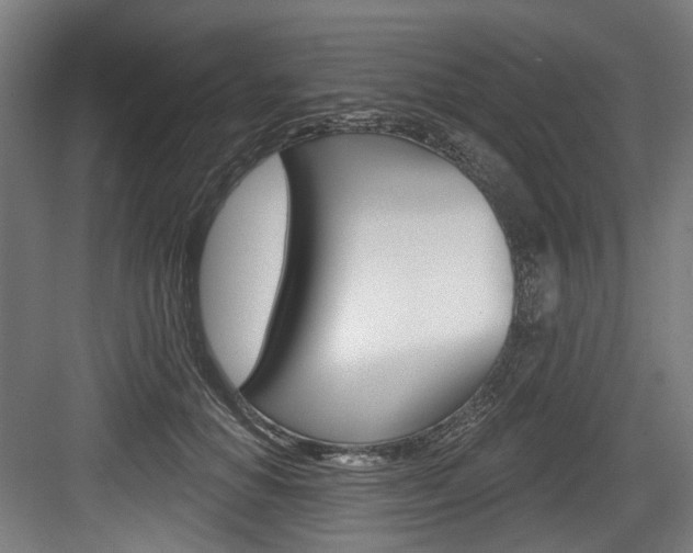 X0000084020654200702160827