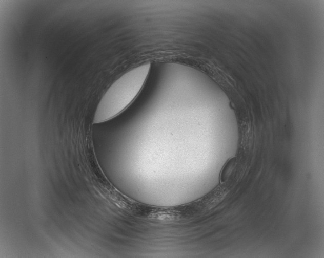 X0000084020655200702160827