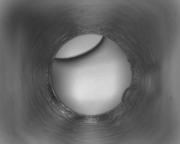 X0000084020656200702160827