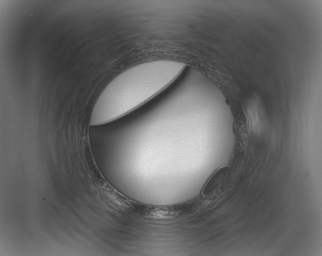 X0000084020657200702160827