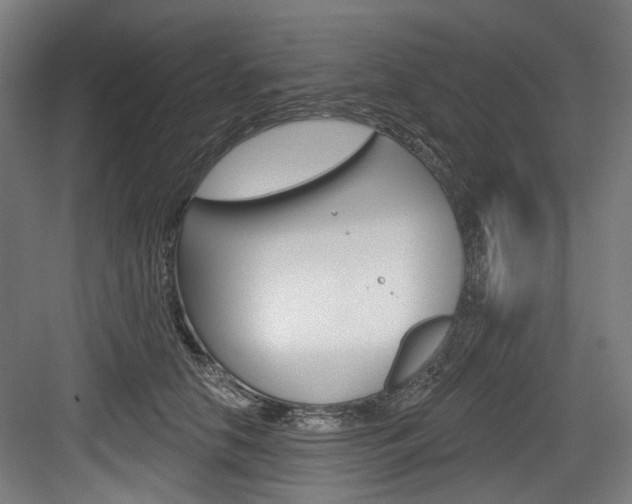 X0000084020658200702160827