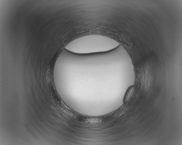 X0000084020659200702160827