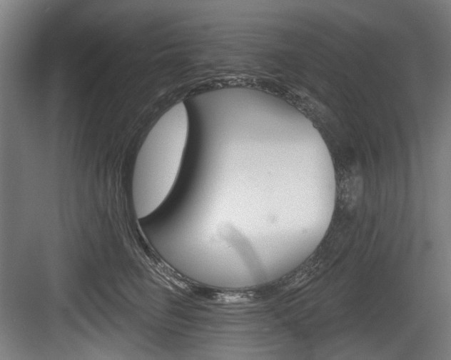 X0000084020662200702160827