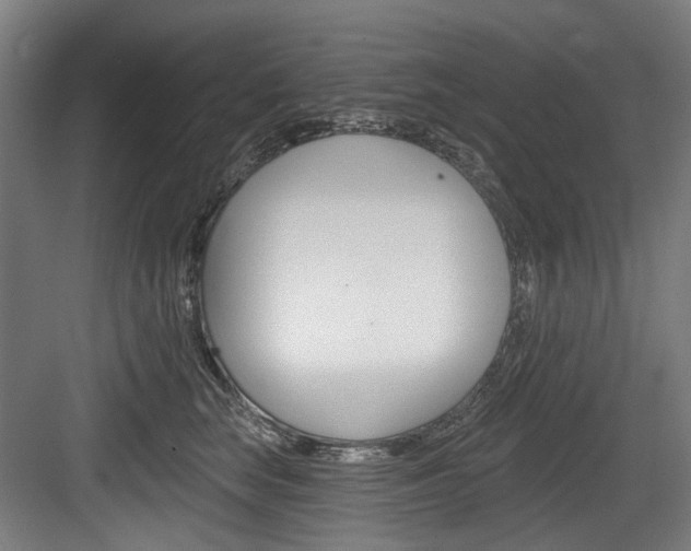 X0000084020663200702160828