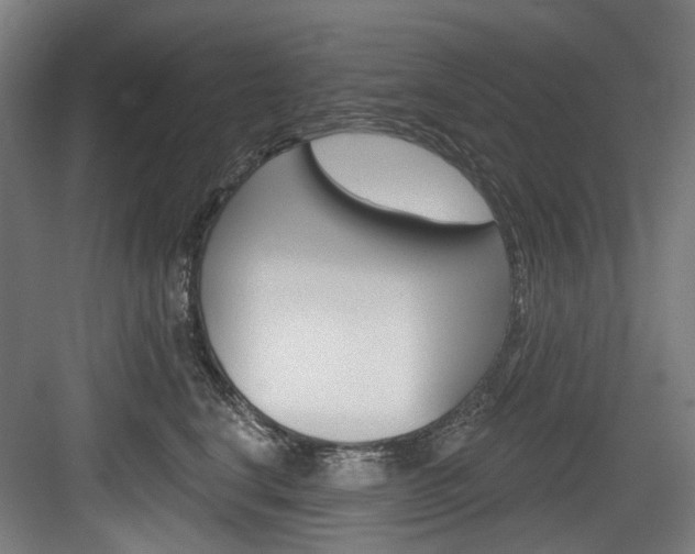X0000084020664200702160828