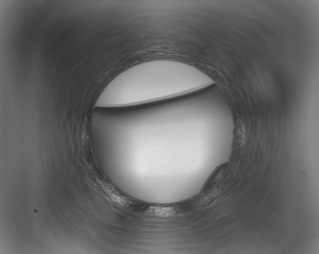 X0000084020665200702160828