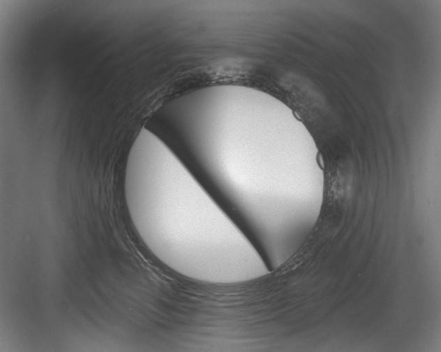 X0000084020666200702160828