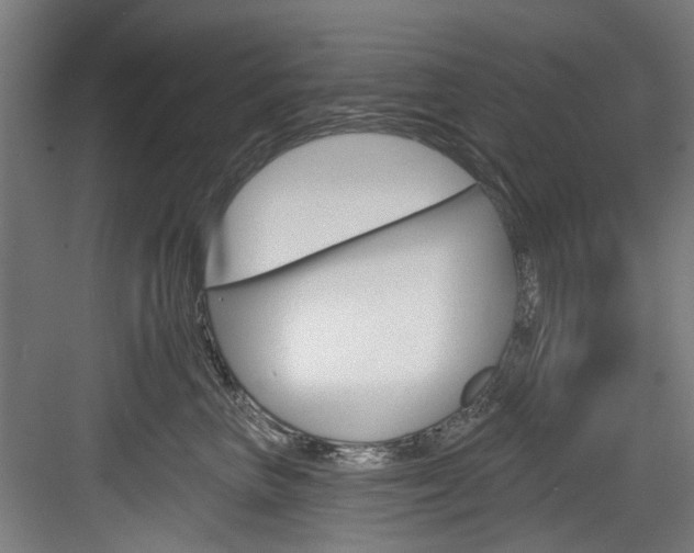 X0000084020667200702160828