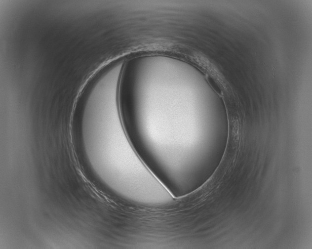 X0000084020676200702160827